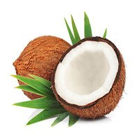جَوْز الهِنْد — Coconut